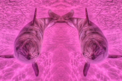 MORSOUND
