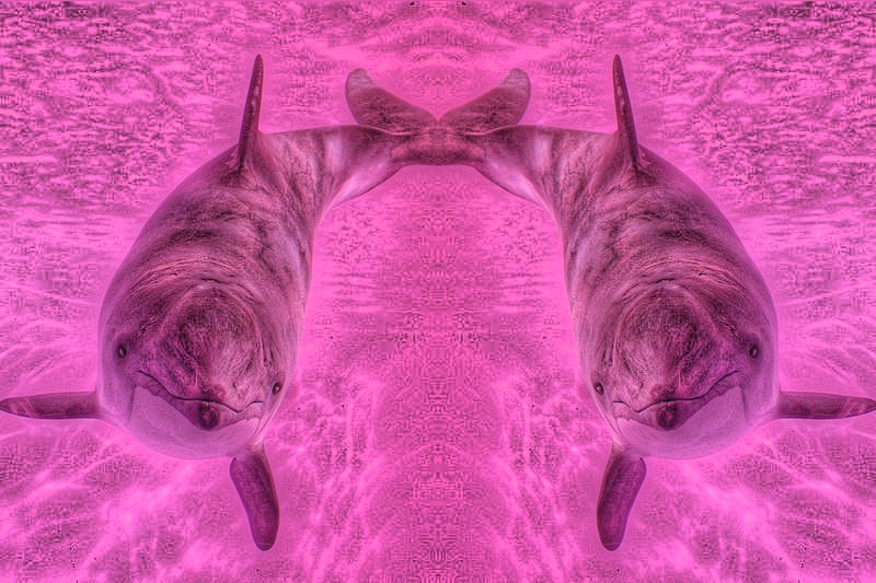 MORSOUND